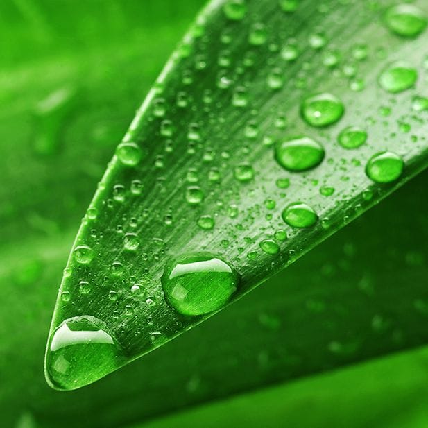 How_Smart_Contact_Lenses_Could_Change_Your_Outlook_row_3